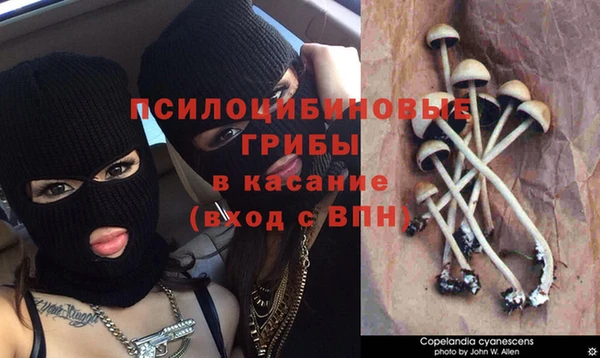 mdpv Новодвинск