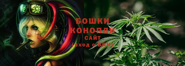 jwh Болотное