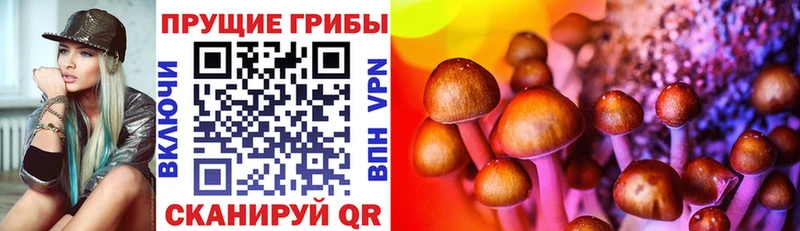 Псилоцибиновые грибы мицелий Тюкалинск