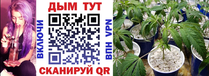 МАРИХУАНА план  Тюкалинск 